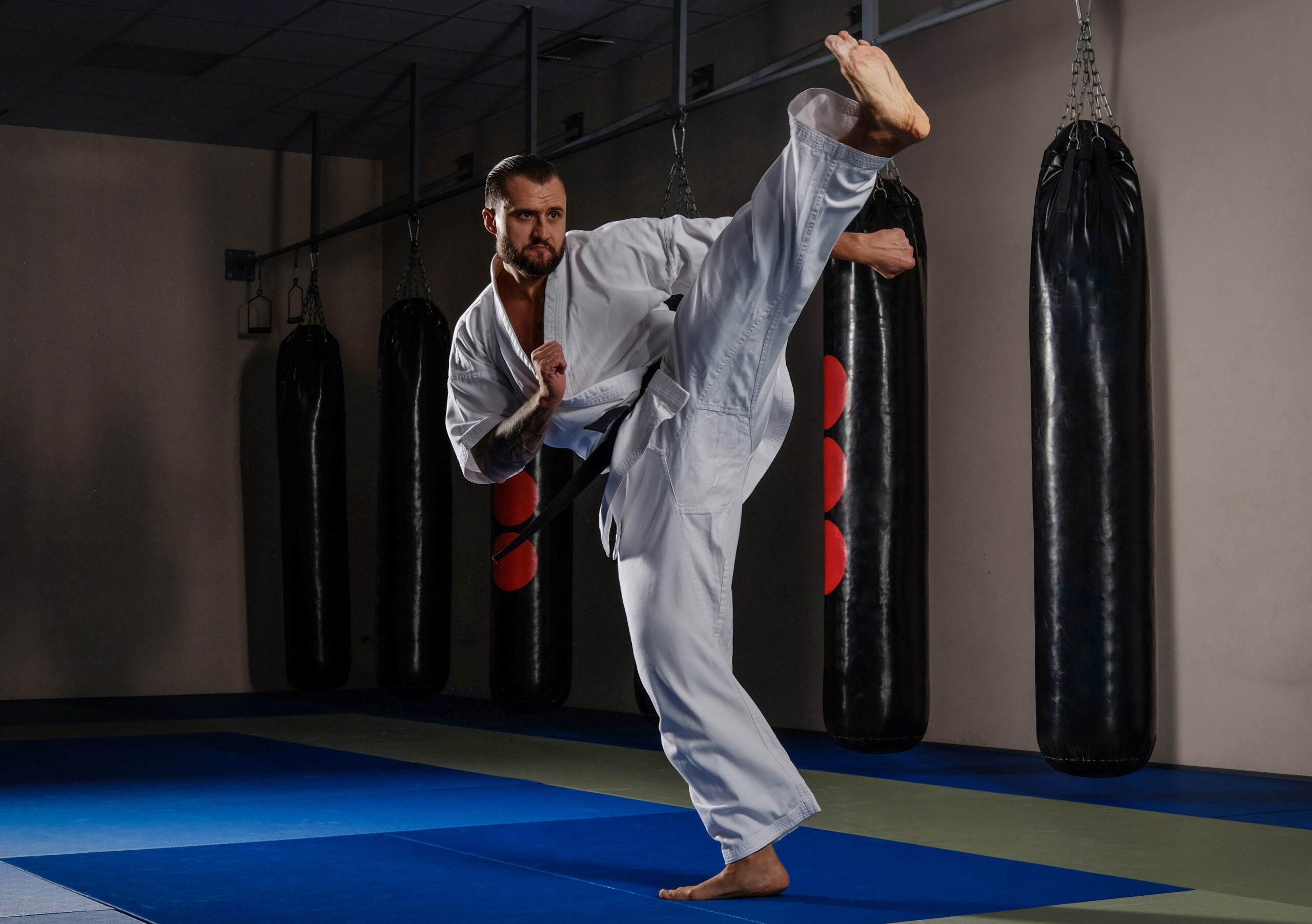 Karate sparring match